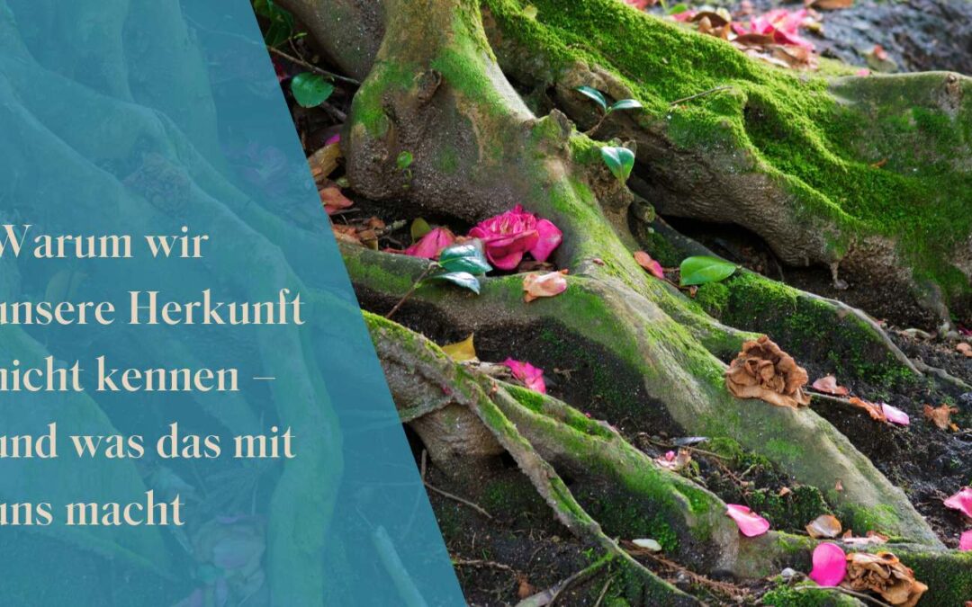Warum wir unsere Herkunft nicht kennen – und was das mit uns macht